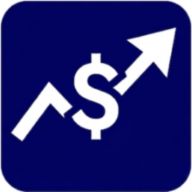 Project Cashflow